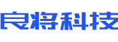 西藏软件开发公司